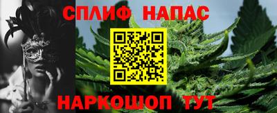 СК Будённовск