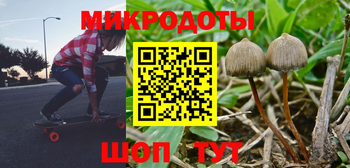 Галлюциногенные грибы мицелий  Вход с VPN  Назрань 
